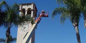 Bee Removal West Los Angeles CA Difficult bee removal using a 
      manlift.
