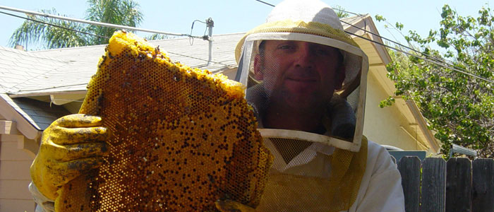 West Los Angeles Bee Removal Guys Tech Michael