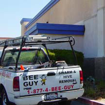 West Los Angeles Bee Removal Guys Service Truck